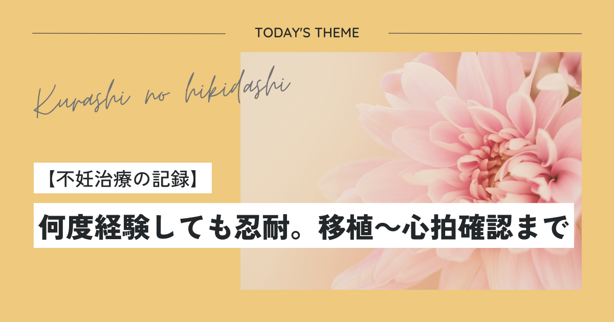 不妊治療の記録｜何度経験しても忍耐。移植～心拍確認まで